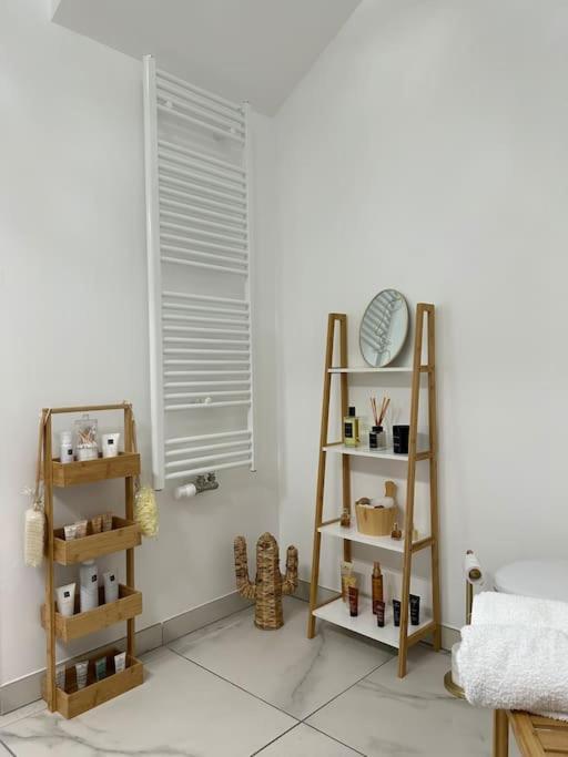 Appart Duplex 87M2 Pres D'Airbus Apartment ตูลูส ภายนอก รูปภาพ