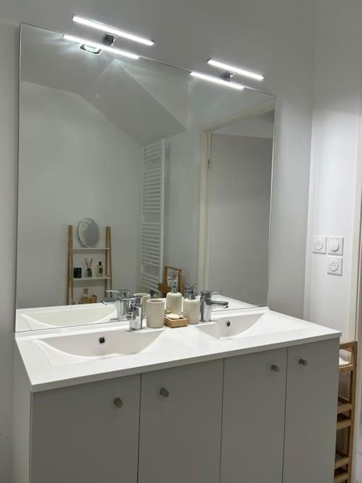 Appart Duplex 87M2 Pres D'Airbus Apartment ตูลูส ภายนอก รูปภาพ